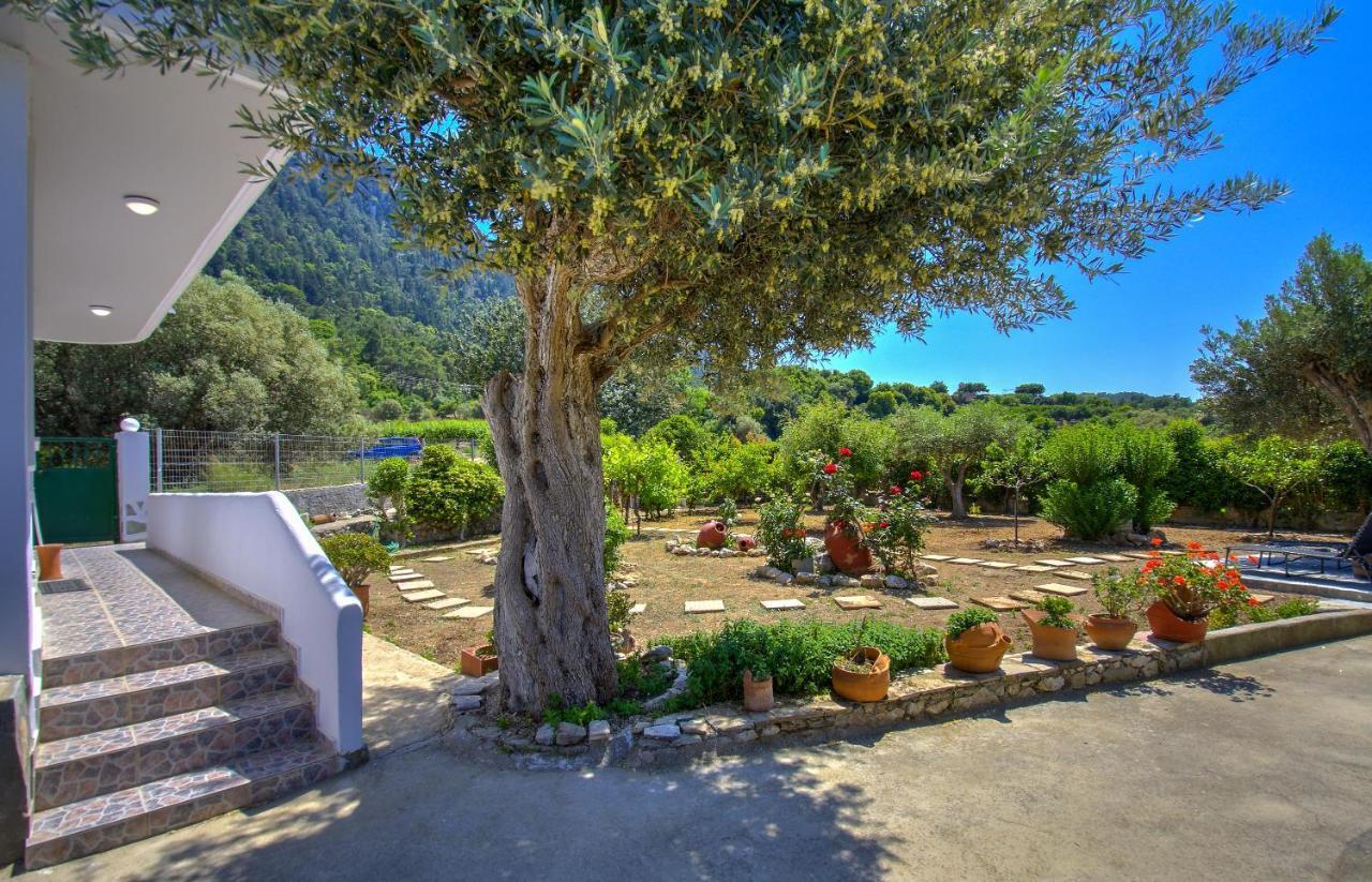 Apartment Bella Montagna